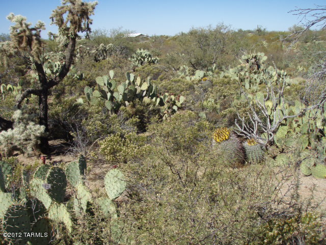 21110 South Crossbow Road Tucson, AZ 85739 - Photo 4 of 6 Gallery Image 4