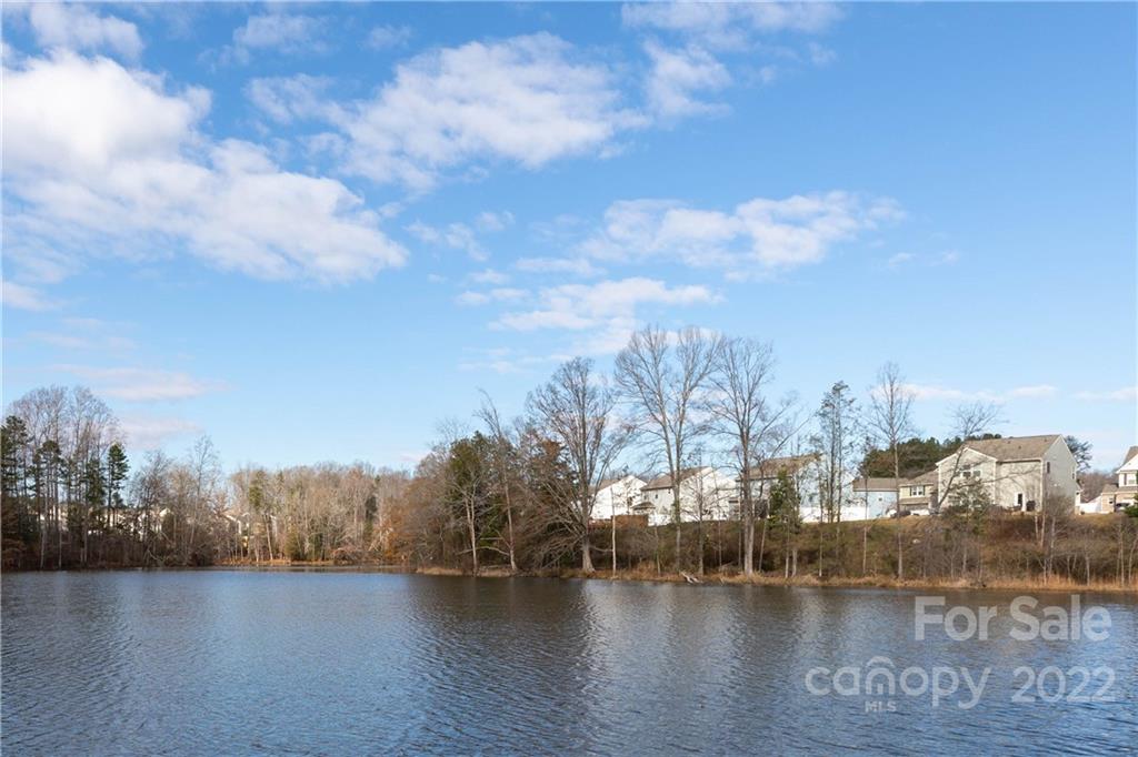 122 Pheasant Ridge Circle York, SC 29745 - Photo 11 of 38 Gallery Image 11