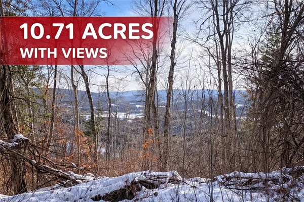 $80,000 | 15 Silver Mine Road, Blenheim, NY 12131