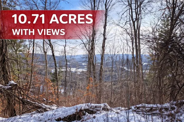 $80,000 | 15 Silver Mine Road, Blenheim, NY 12131