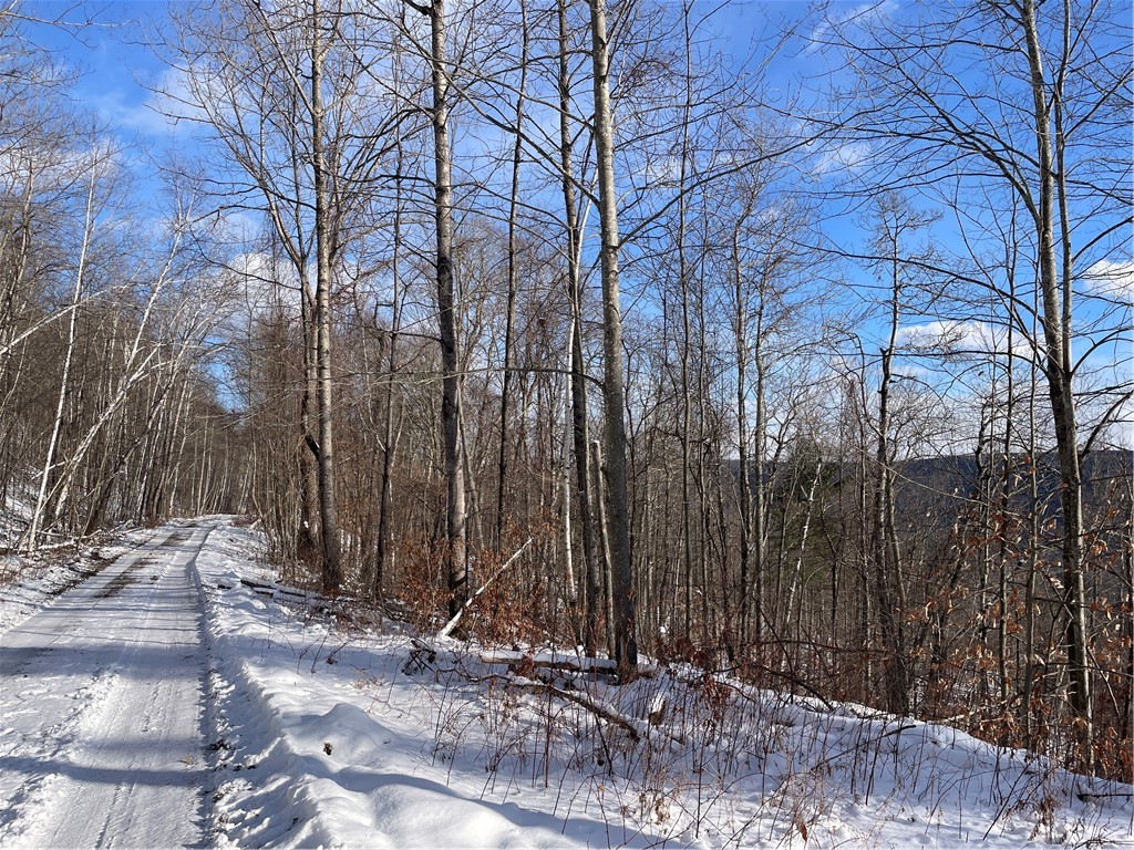 15 Silver Mine Road Blenheim, NY 12131 - Photo 11 of 15