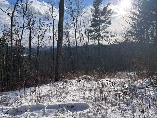 $80,000 | 15 Silver Mine Road, Blenheim, NY 12131