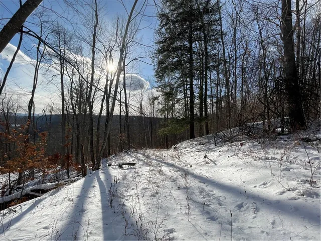 $80,000 | 15 Silver Mine Road, Blenheim, NY 12131