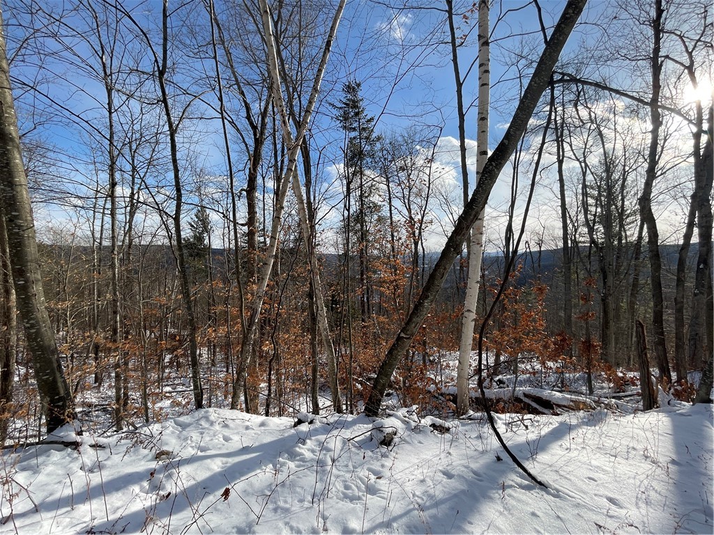 15 Silver Mine Road Blenheim, NY 12131 - Photo 3 of 15