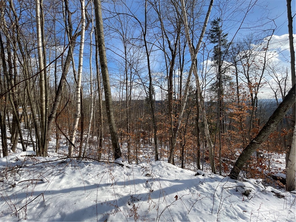 15 Silver Mine Road Blenheim, NY 12131 - Photo 4 of 15