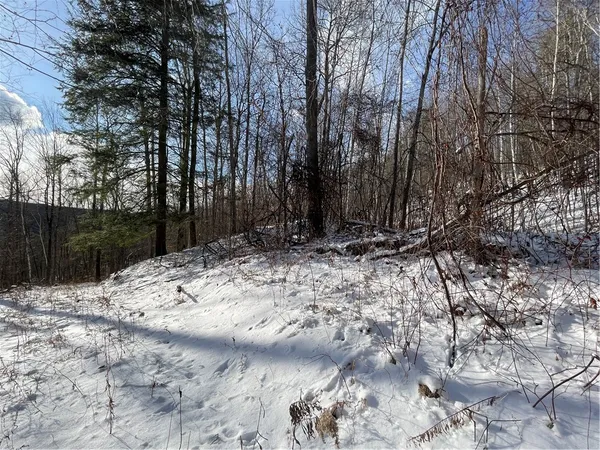 $80,000 | 15 Silver Mine Road, Blenheim, NY 12131
