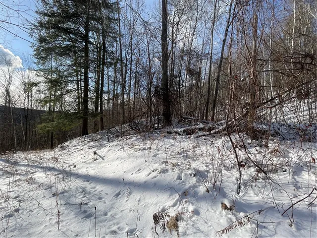 $80,000 | 15 Silver Mine Road, Blenheim, NY 12131