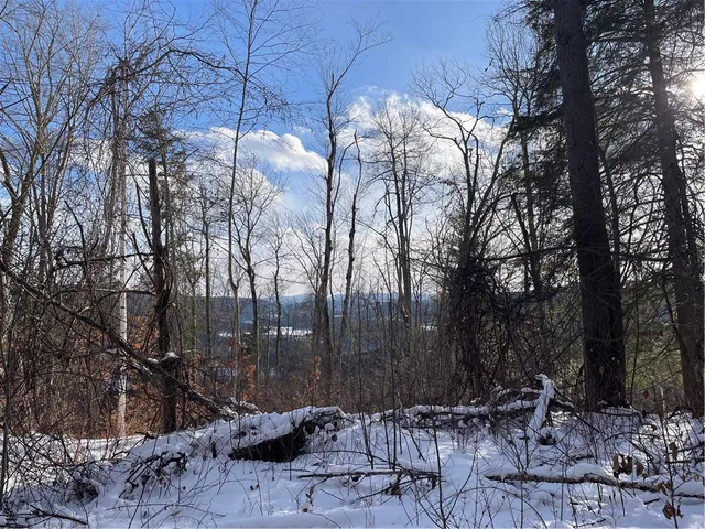 $80,000 | 15 Silver Mine Road, Blenheim, NY 12131