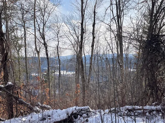 $80,000 | 15 Silver Mine Road, Blenheim, NY 12131