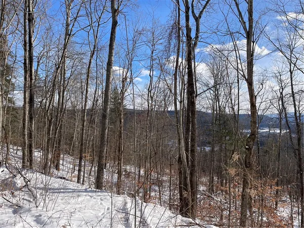 $80,000 | 15 Silver Mine Road, Blenheim, NY 12131