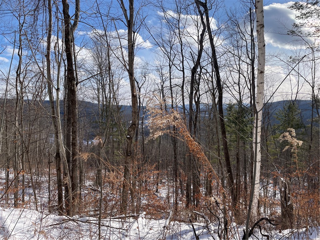 15 Silver Mine Road Blenheim, NY 12131 - Photo 9 of 15