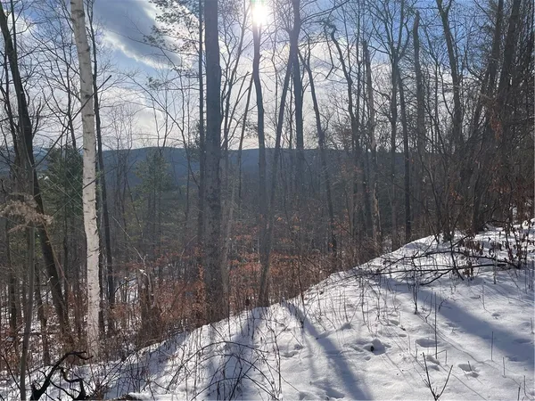 $80,000 | 15 Silver Mine Road, Blenheim, NY 12131