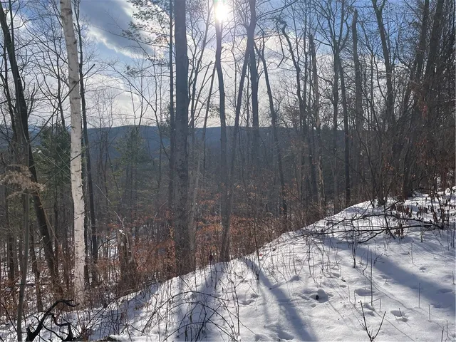 $80,000 | 15 Silver Mine Road, Blenheim, NY 12131