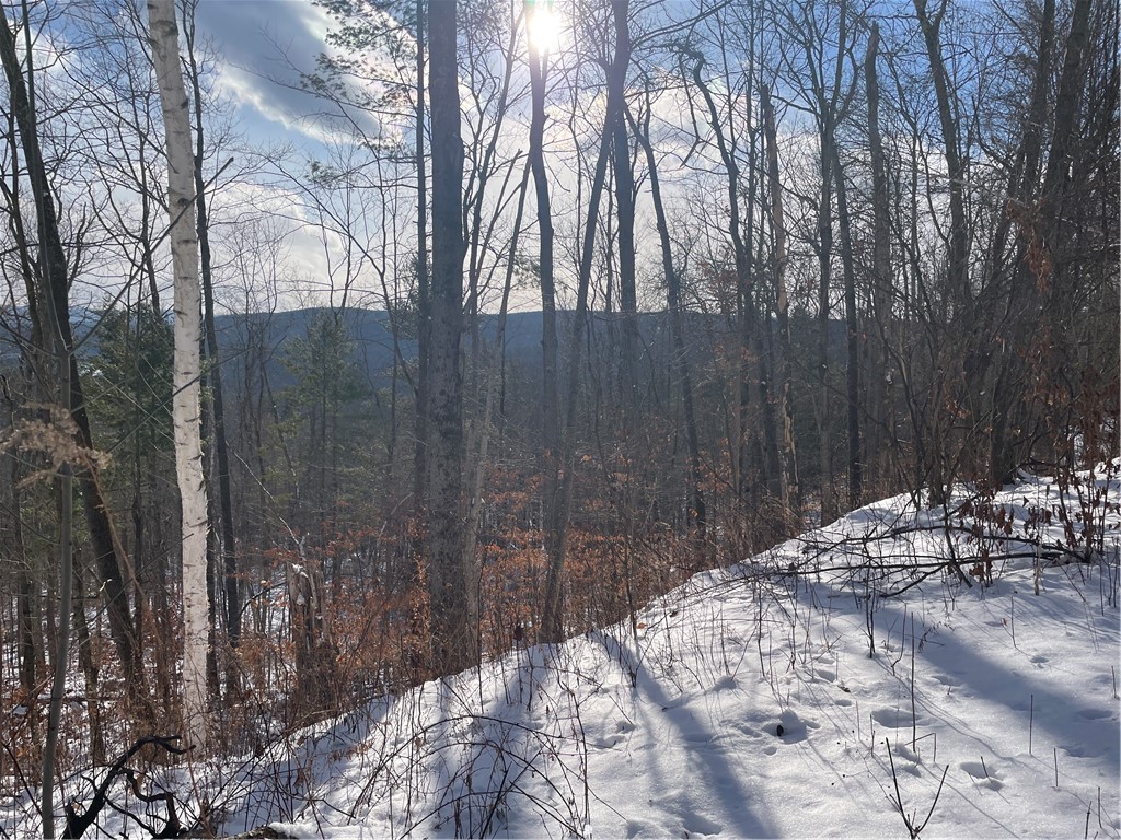 15 Silver Mine Road Blenheim, NY 12131 - Photo 10 of 15