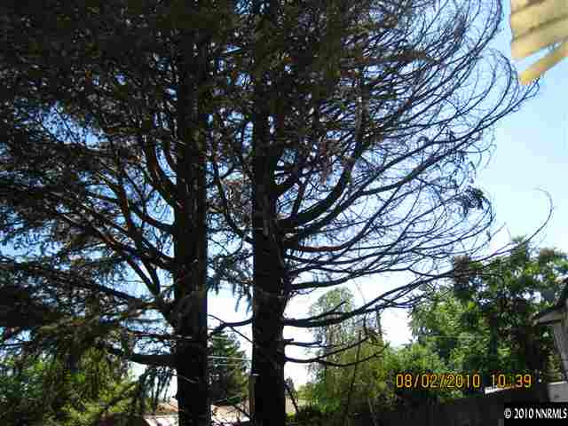 840 Bowman Drive Reno, NV 89503 - Photo 4 of 6 Photo 4