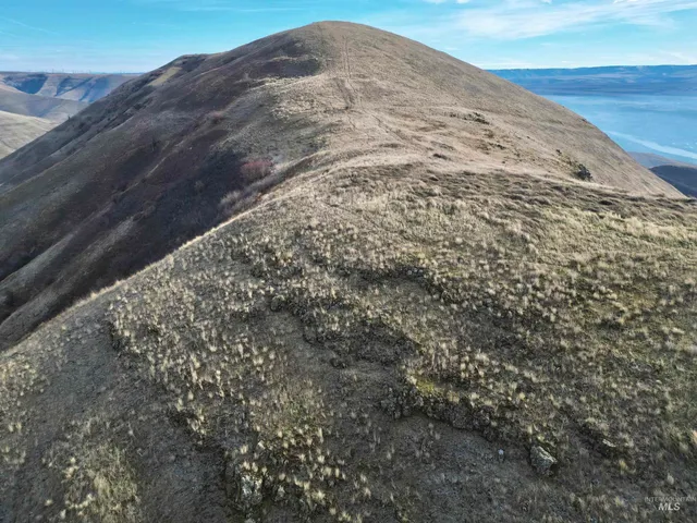 $775,000 | Spur Road-86 Acres Lewiston Id 83501, Lewiston, ID 83501