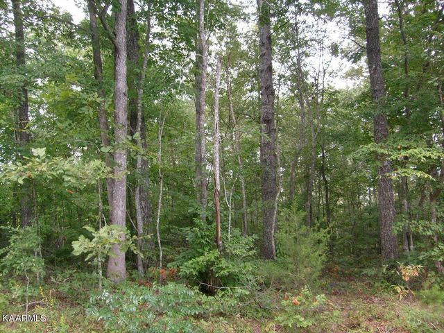 $5,000 | 4133 Chica Road, Crossville, TN 38572
