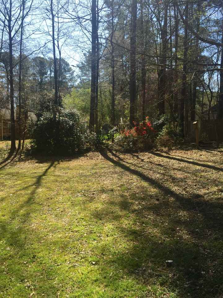 2804 Bethlehem Road Raleigh, NC 27610 - Photo 8 of 28 Partial Back Yard