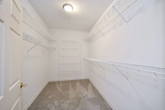 a view of a room with racks on the wall