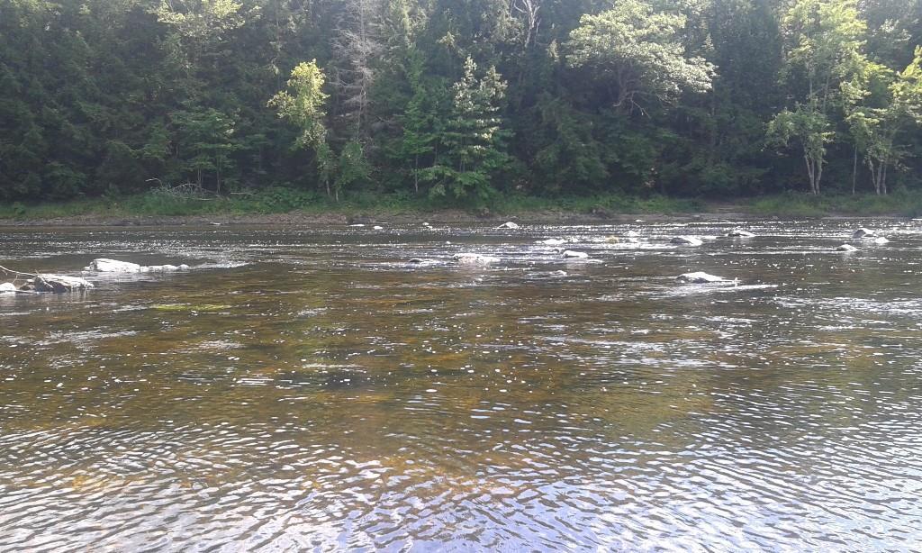106 River Road West Baldwin, ME 04091 - Photo 32 of 35 Photo