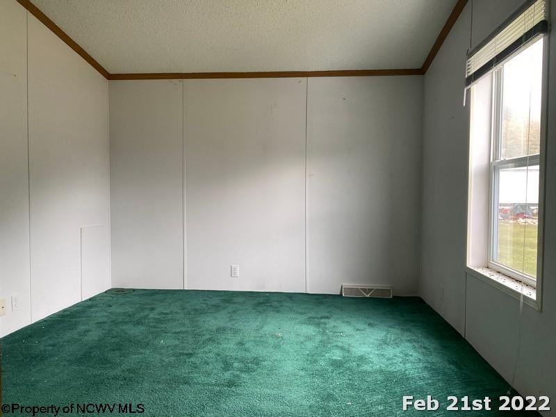 35 Punkin Center Road Fairview, WV 26570 - Photo 19 of 22 Gallery Image 19