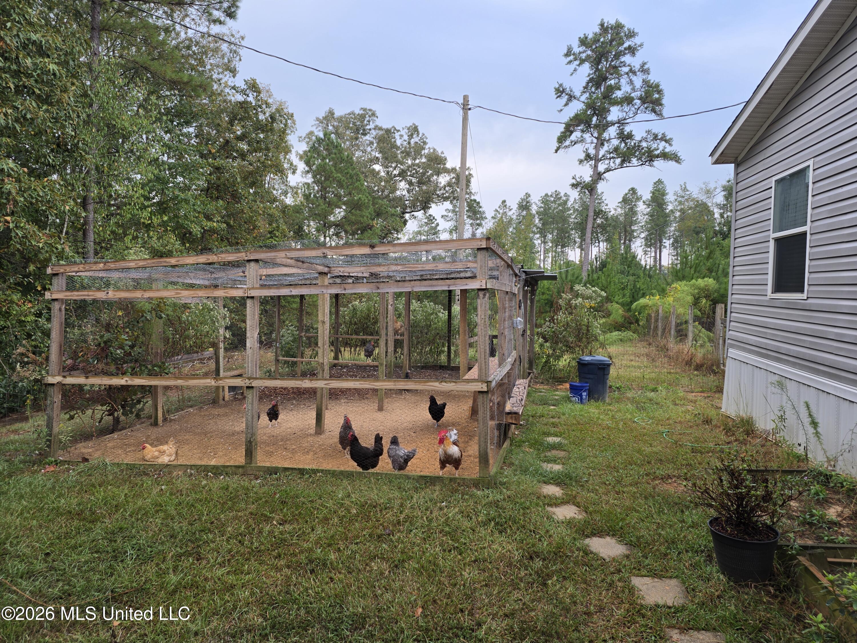 1015 St Anne Road Carthage, MS 39051 - Photo 10 of 45 20261005_080704