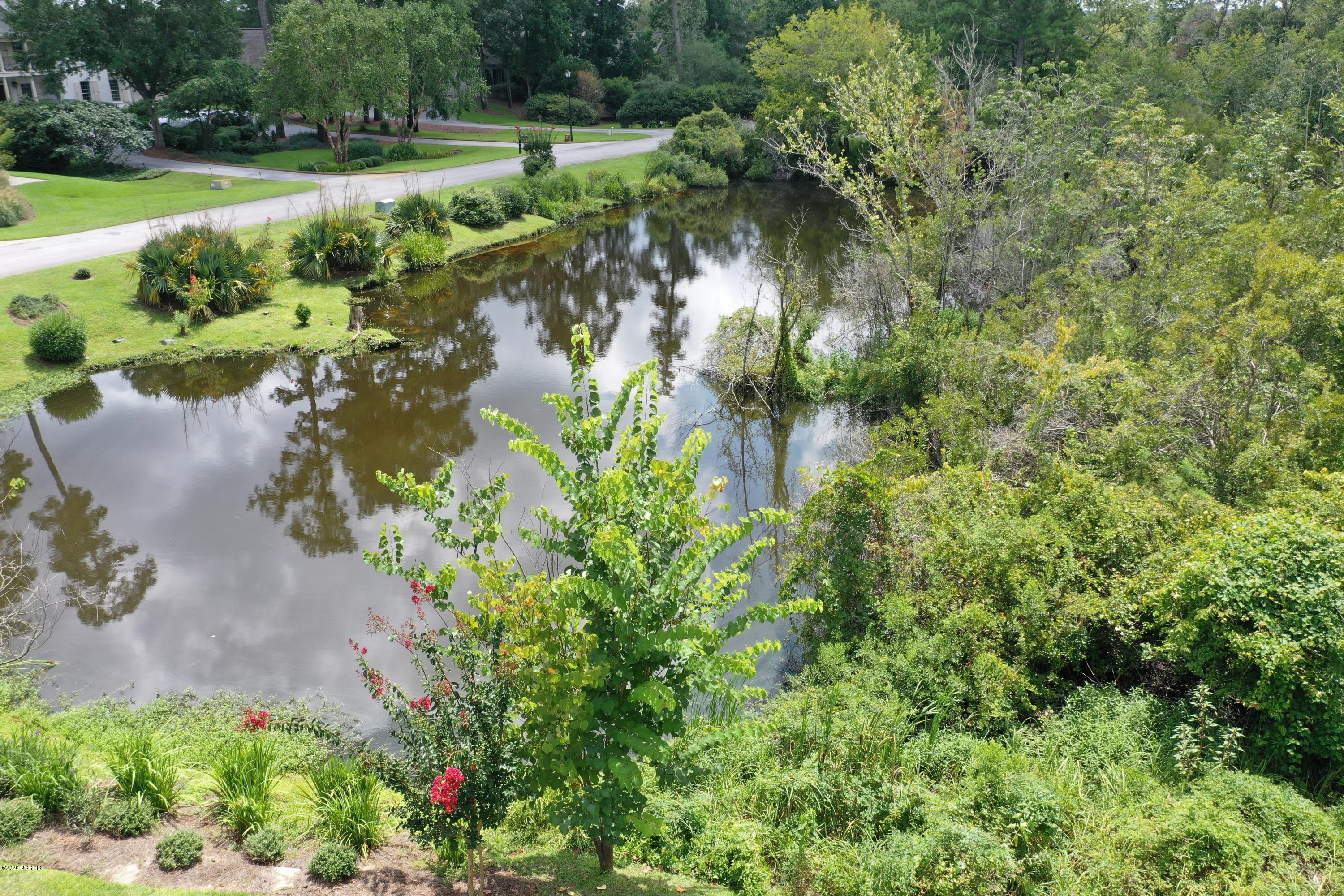 202 Castle Ridge Road New Bern, NC 28562 - Photo 67 of 72 Pond off Castle Ridge Rd.