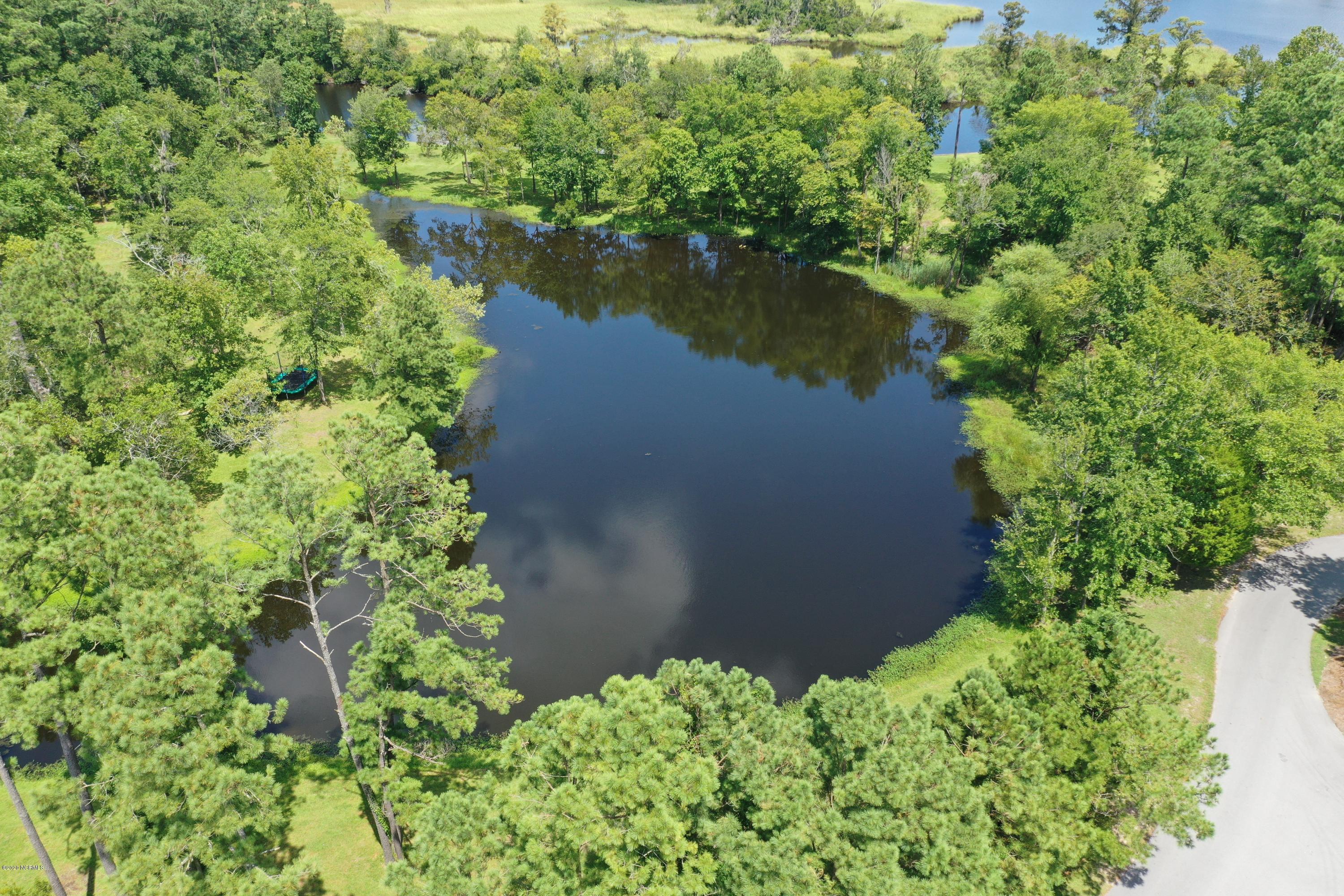 202 Castle Ridge Road New Bern, NC 28562 - Photo 69 of 72 Pond View from Back of House