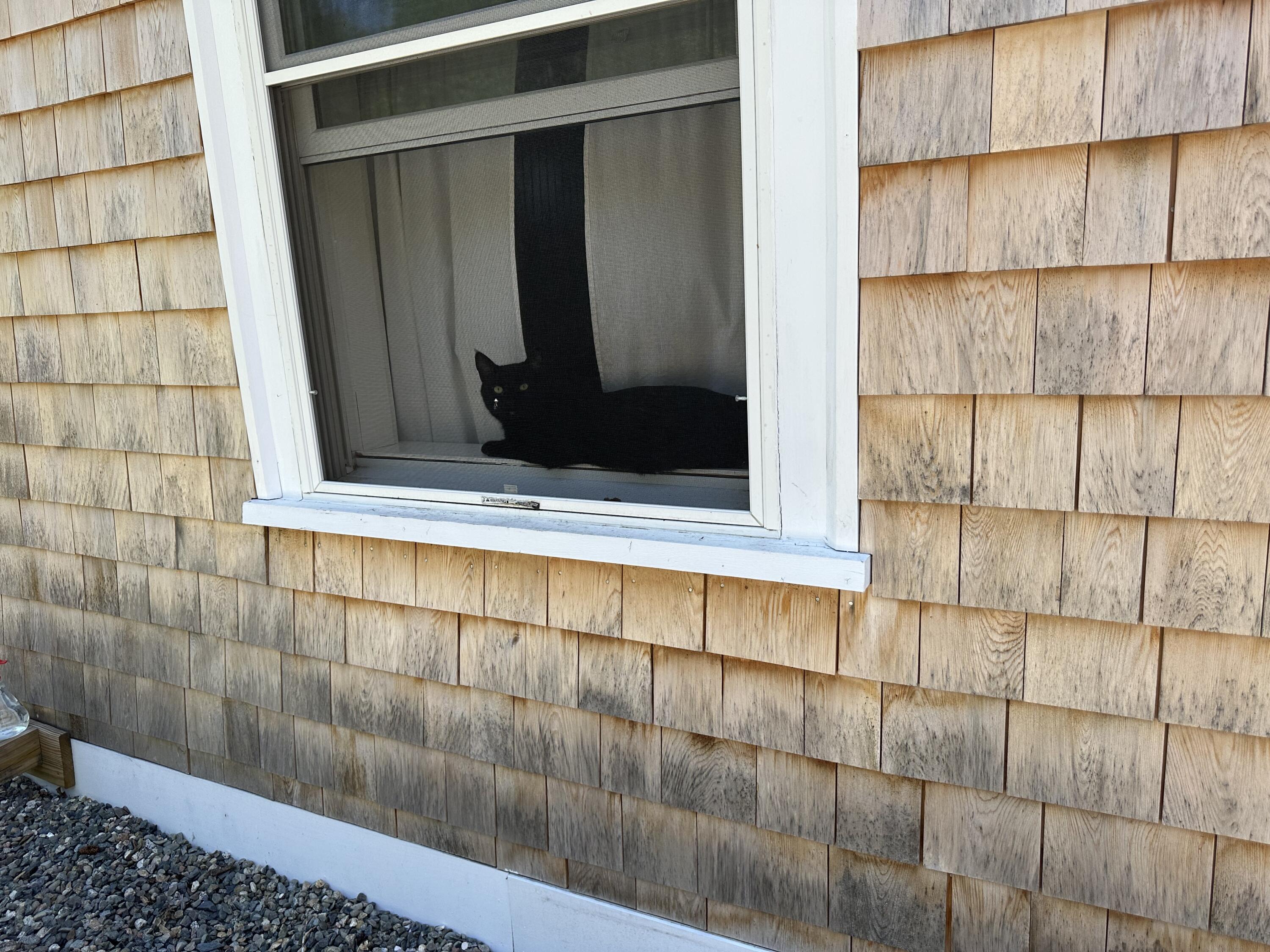 205 West Side Road Addison, ME 04606 - Photo 40 of 40 IMG_7253