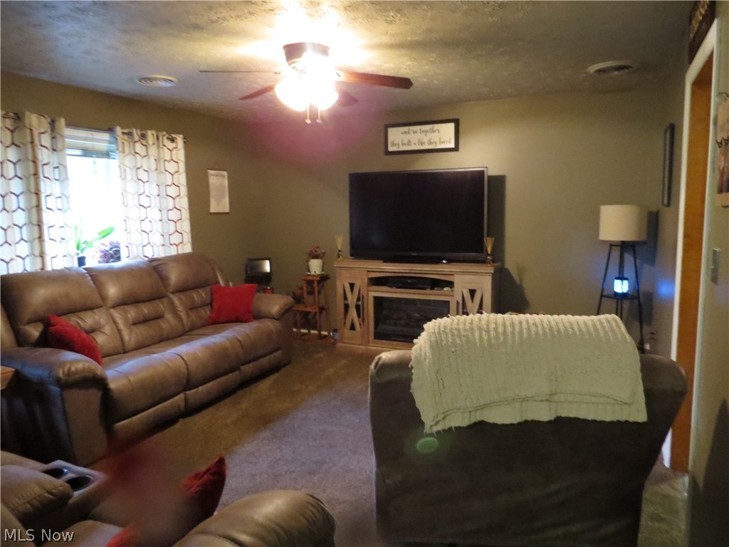 9811 Church Road Huron, OH 44839 - Photo 12 of 28 Carpeted living room featuring ceiling fan and a textured ceiling