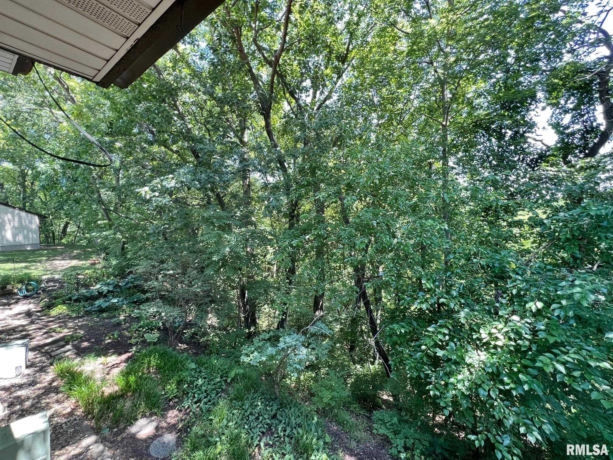 6342 North Allen Road, Unit 28 Peoria, IL 61614 - Photo 26 of 37