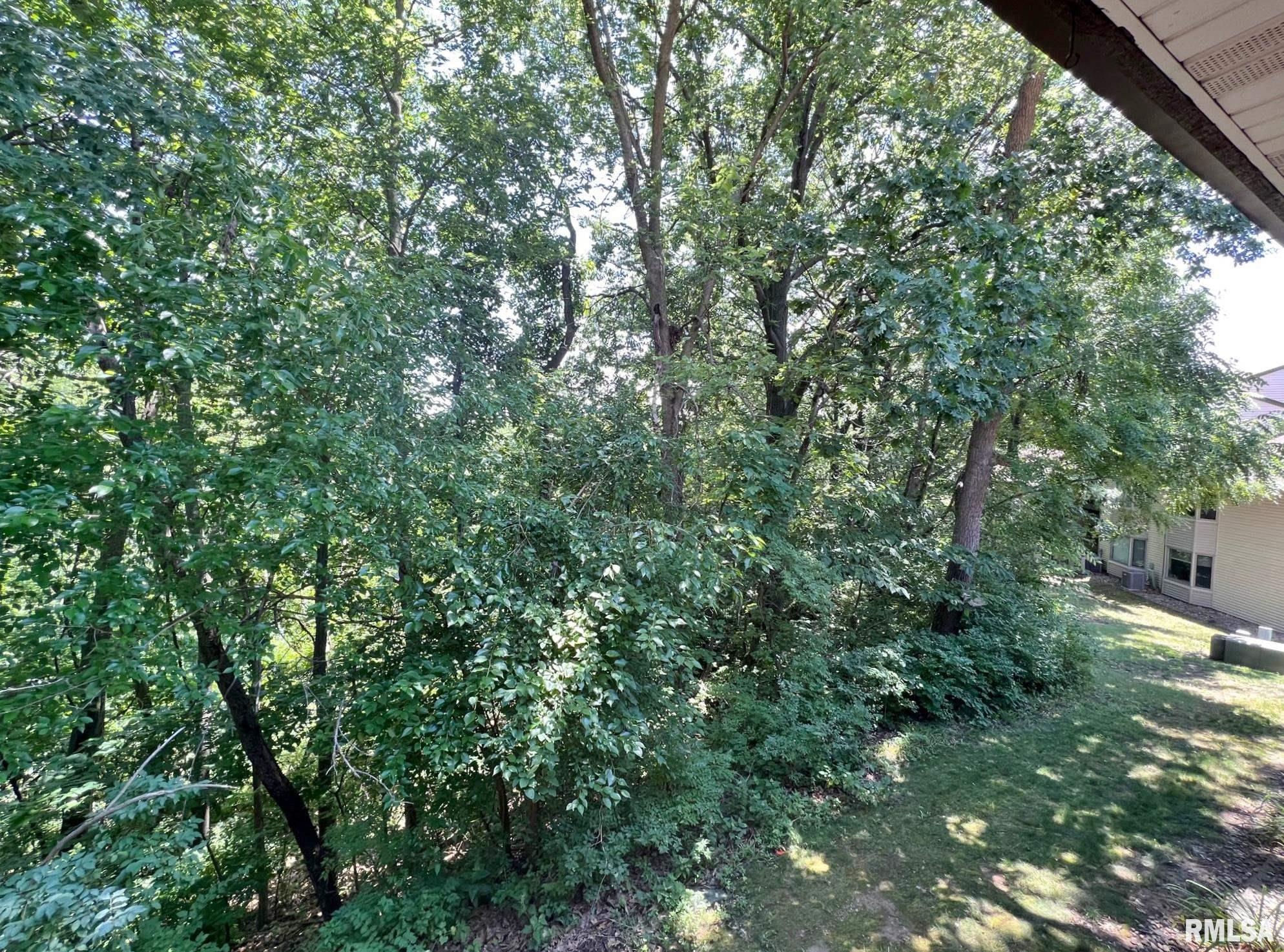 6342 North Allen Road, Unit 28 Peoria, IL 61614 - Photo 27 of 37