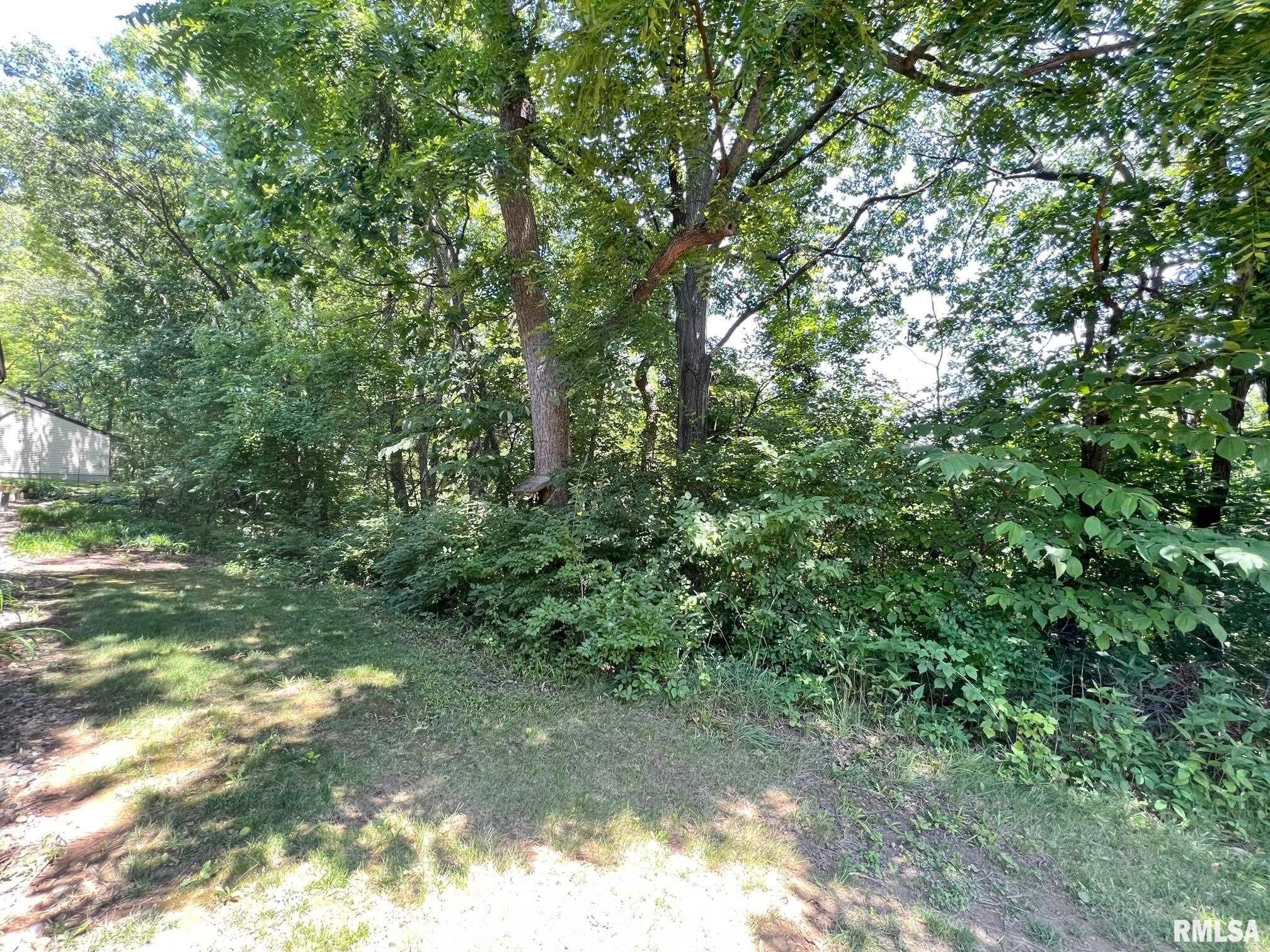 6342 North Allen Road, Unit 28 Peoria, IL 61614 - Photo 7 of 37