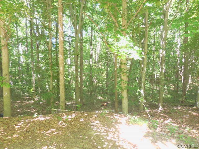 18058 Teman Road Beaverdam, VA 23015 - Photo 20 of 20 Look out onto 12 Full Wooded Acres