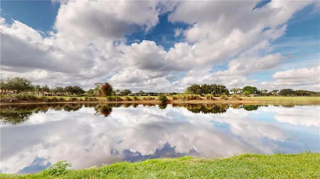 a view of a lake from a yard