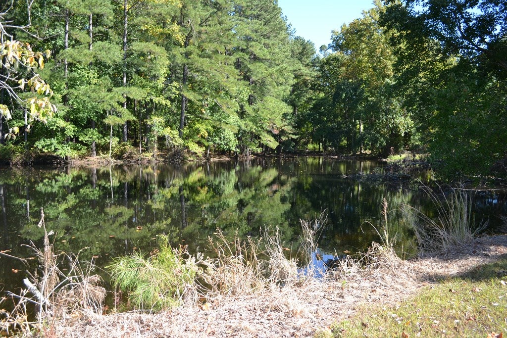1355 Afton Grove Road Kenbridge, VA 23944 - Photo 9 of 40 Gallery Image 9