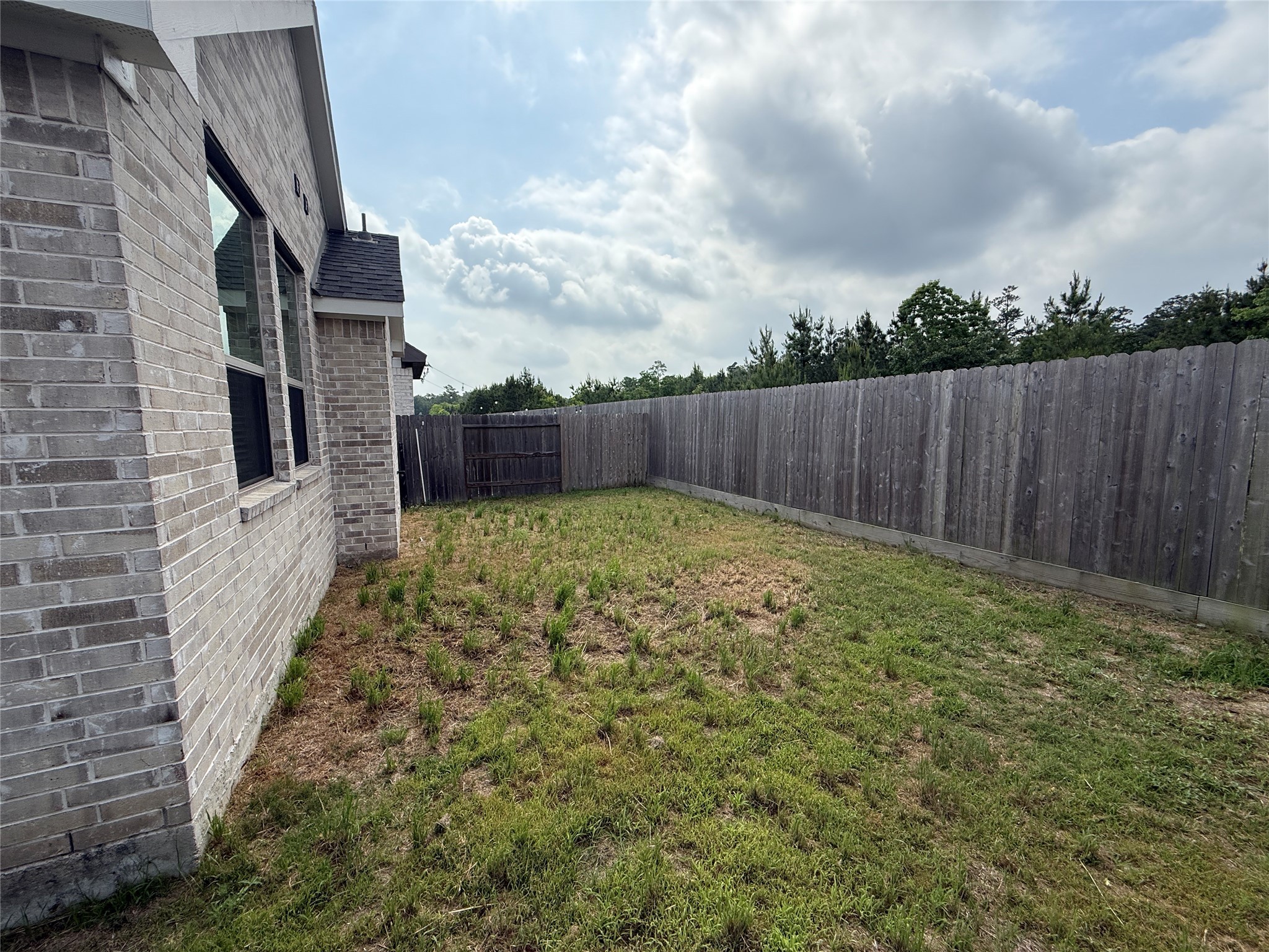 10534 Wild Chives Conroe, TX 77385 - Photo 22 of 24 a view of a backyard