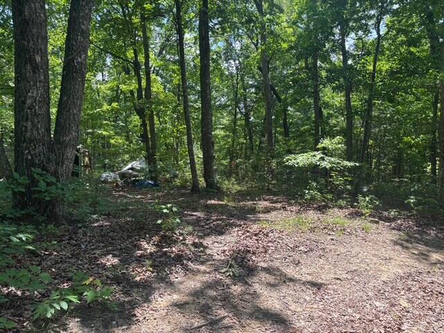 590 Black Mountain Road Dunlap, TN 37327 - Photo 11 of 20 IMG_6640