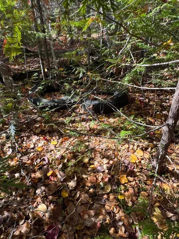 $19,900 | Lot 3 West Old Main Road, Lowell, ME 04493