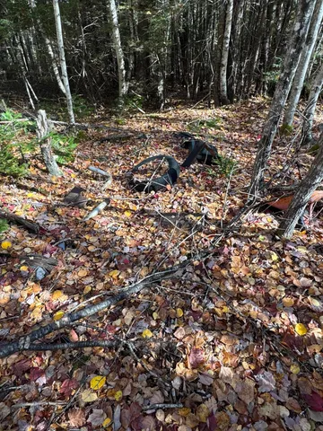 $19,900 | Lot 3 West Old Main Road, Lowell, ME 04493