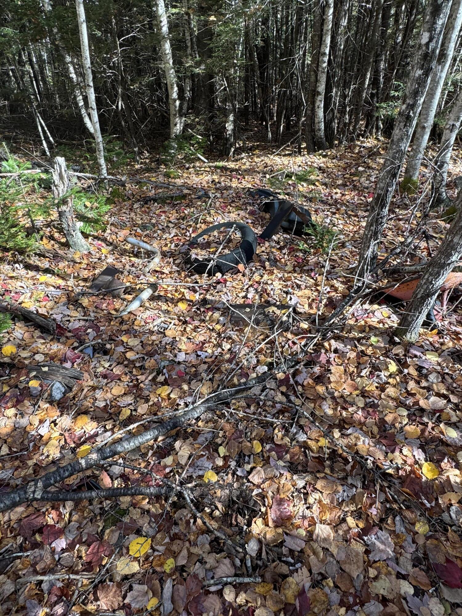 Lot 3 West Old Main Road Lowell, ME 04493 - Photo 4 of 7 IMG_7410