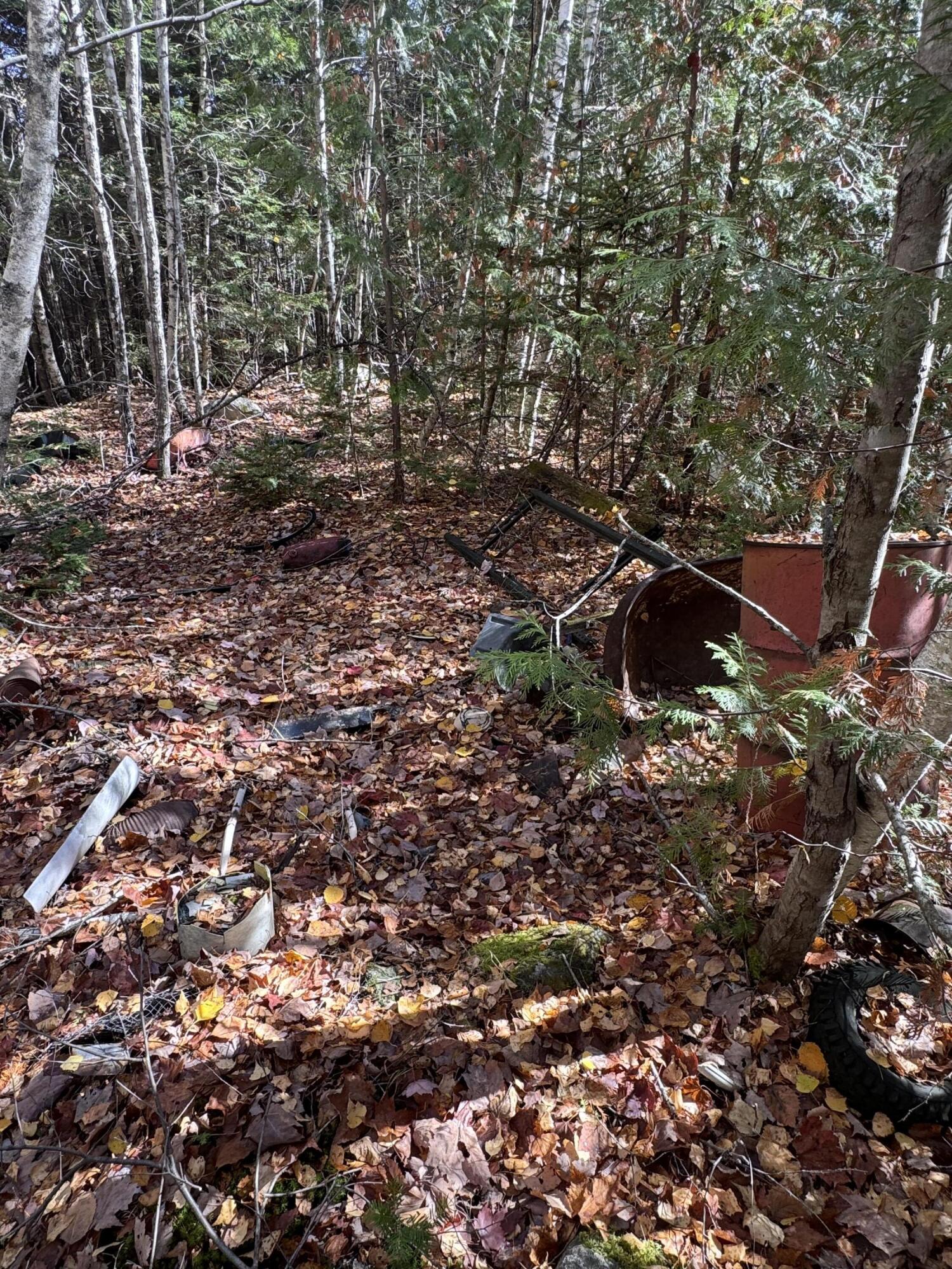 Lot 3 West Old Main Road Lowell, ME 04493 - Photo 5 of 7 IMG_7409