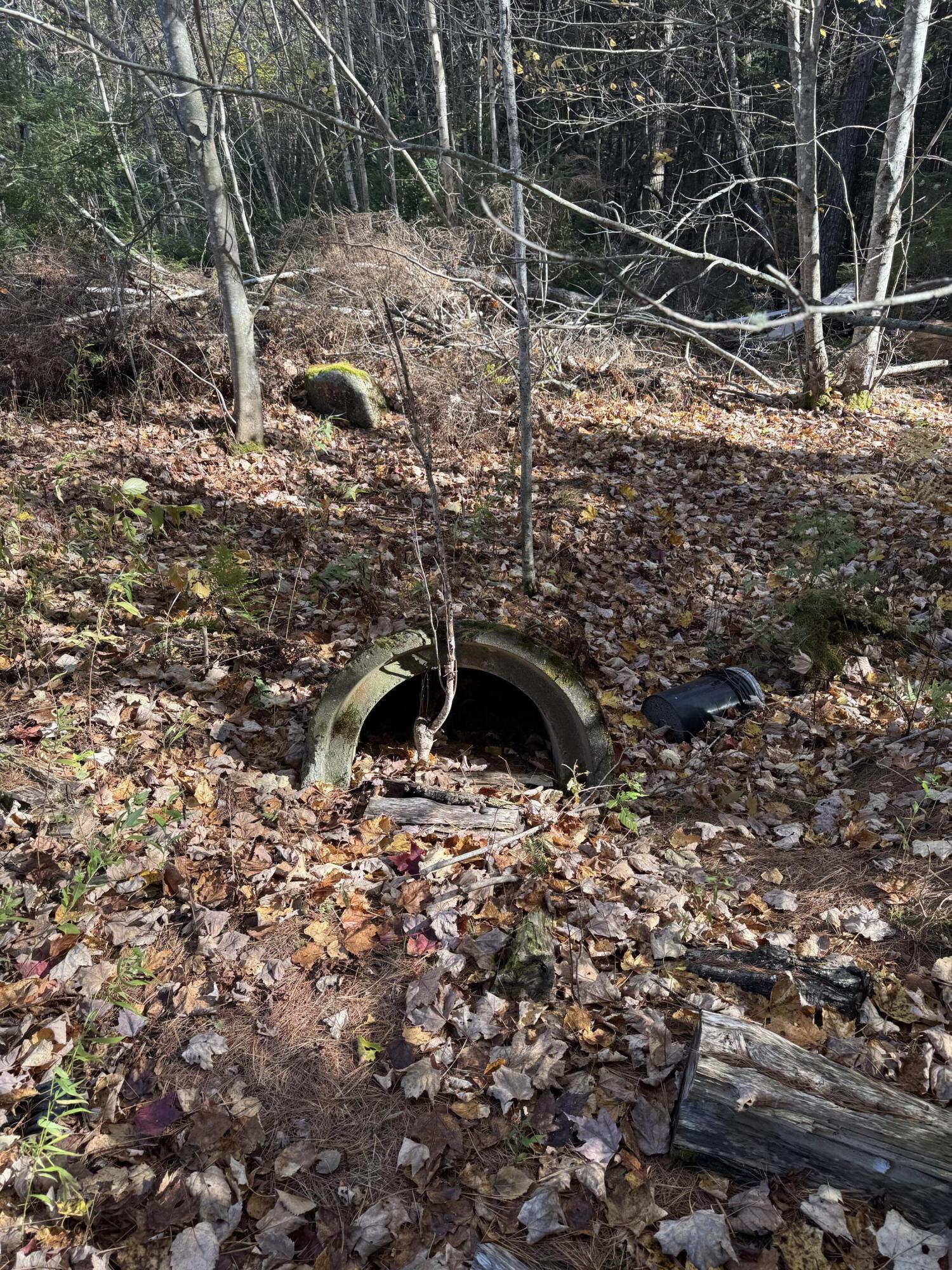 Lot 3 West Old Main Road Lowell, ME 04493 - Photo 6 of 7 IMG_7400