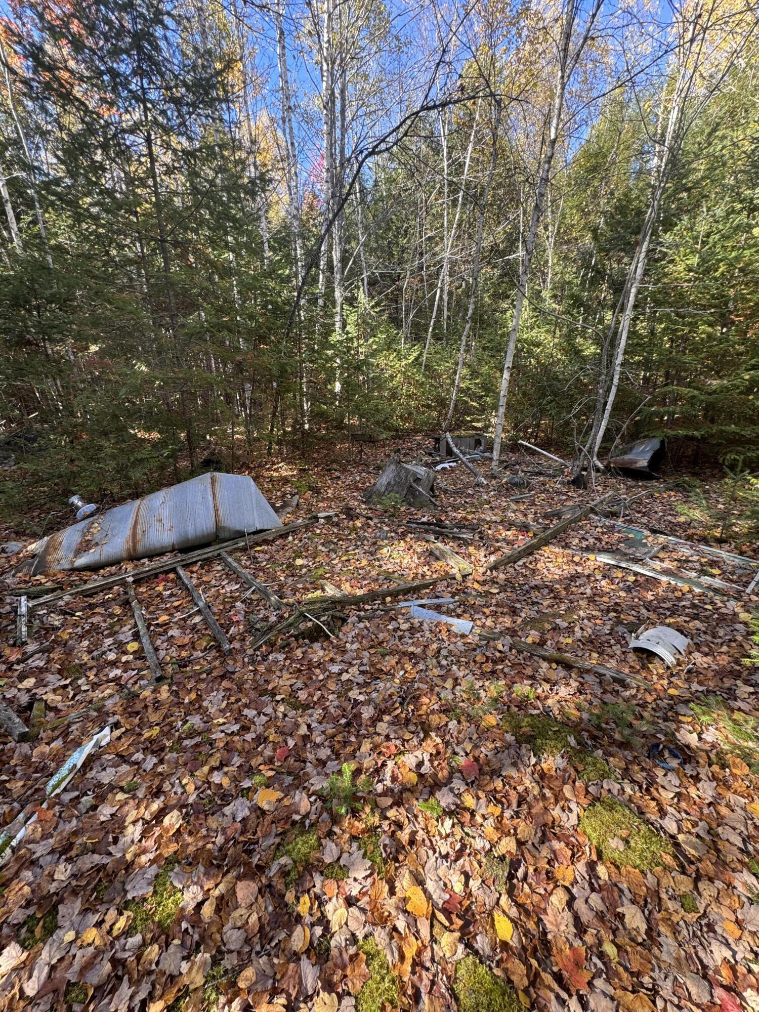 Lot 3 West Old Main Road Lowell, ME 04493 - Photo 7 of 7 IMG_7405