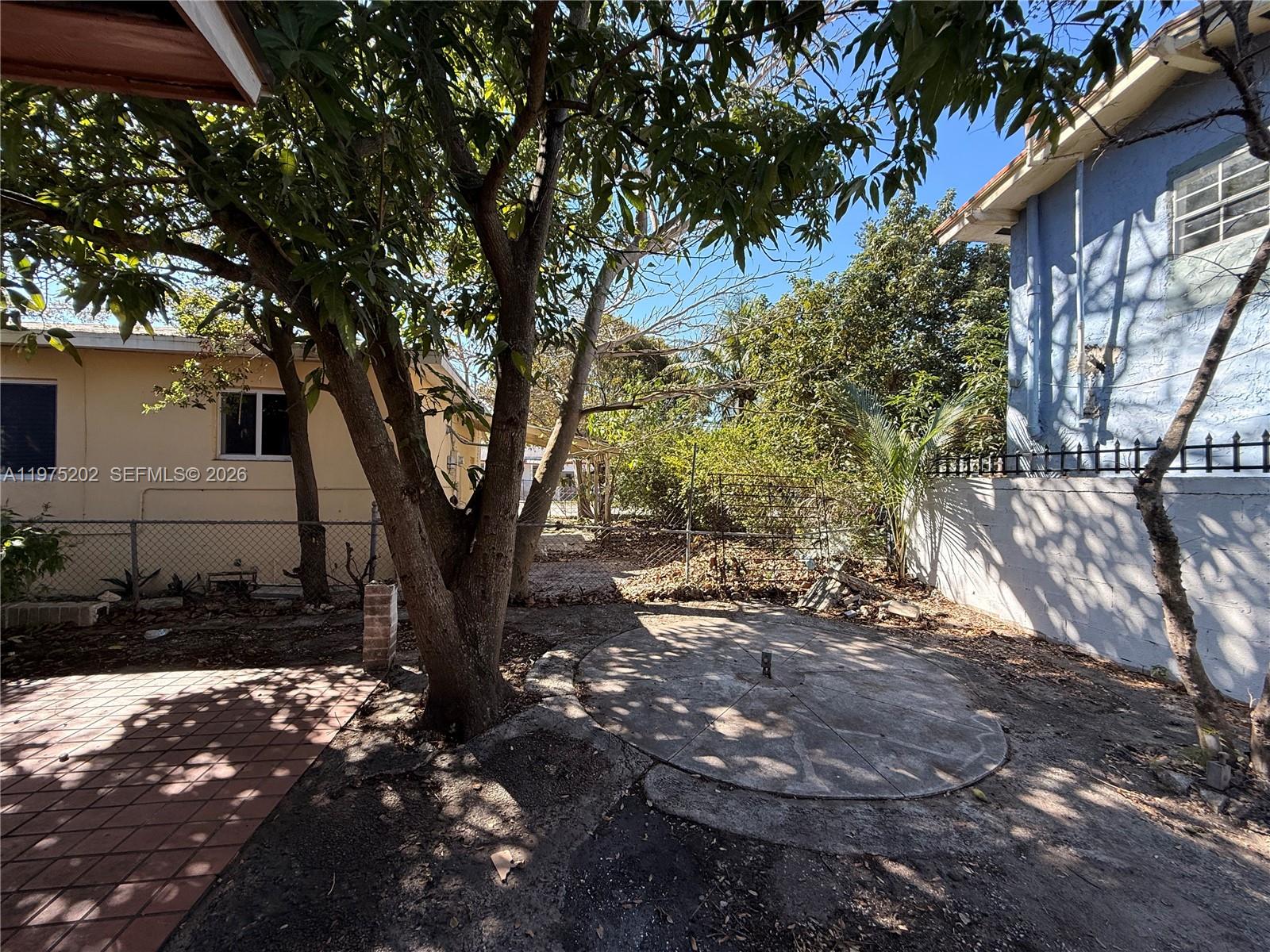 313 Northeast 57th Street, Unit 313 Miami, FL 33137 - Photo 11 of 13 a tree in the middle of a yard