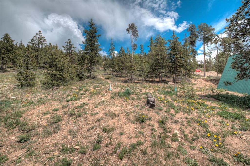 217 G Road Silverthorne, CO 80498 - Photo 24 of 24 a view of a yard with trees in the background