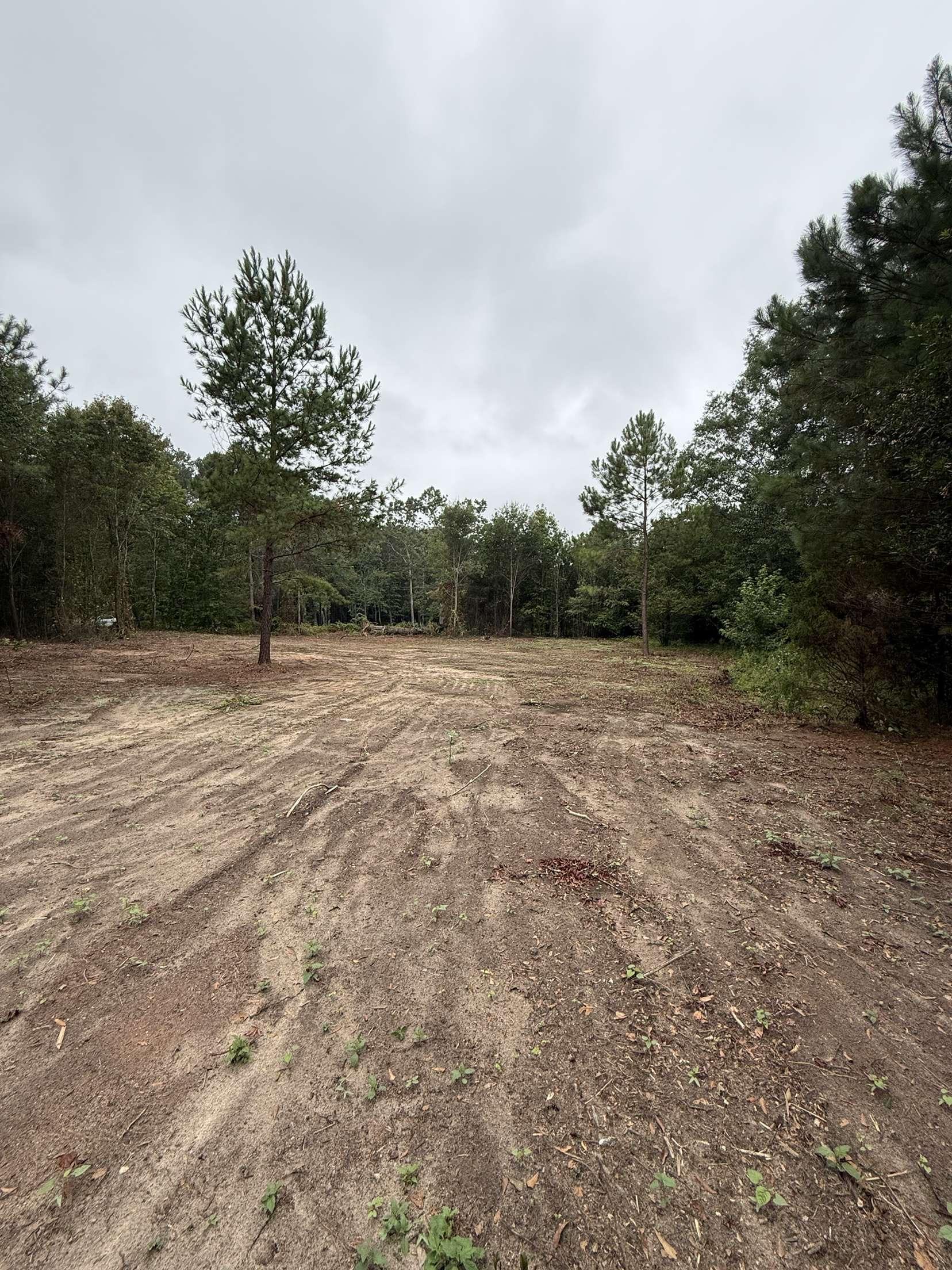 229 Holly Road Chesnee, SC 29323 - Photo 6 of 6
