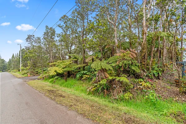 $45,000 | Lot 53-b-716 Lot 53-b-716 Ala Ohia Street, Volcano, HI 96785
