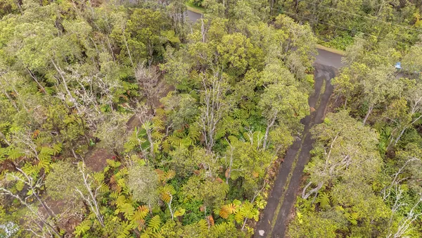 $45,000 | Lot 53-b-716 Lot 53-b-716 Ala Ohia Street, Volcano, HI 96785
