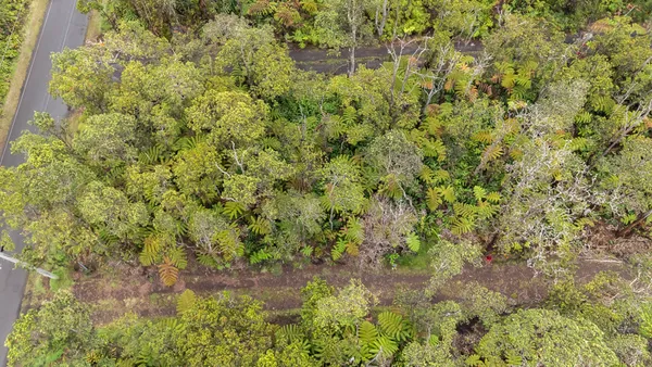 $45,000 | Lot 53-b-716 Lot 53-b-716 Ala Ohia Street, Volcano, HI 96785